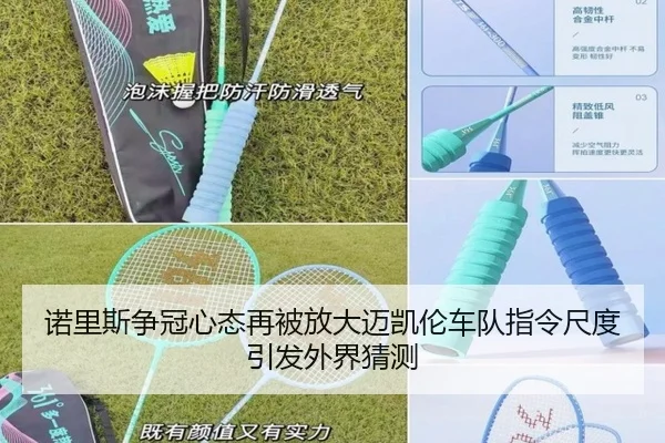 诺里斯争冠心态再被放大迈凯伦车队指令尺度引发外界猜测